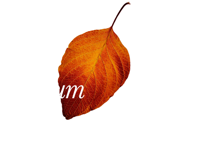 herbstblatt